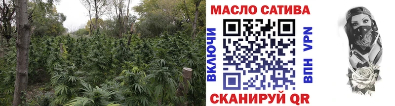 даркнет сайт  Кировград  MEGA tor  ТГК THC oil 
